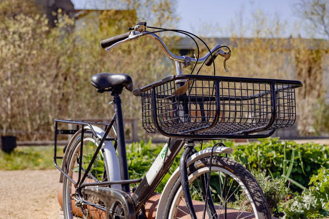 Adult Bikes