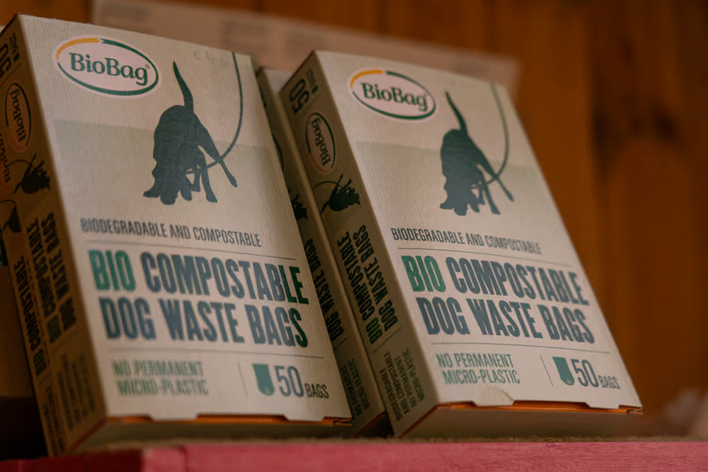 Waste & Recycling
