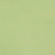 Soft Green Interior Paint- 5.6 Litres