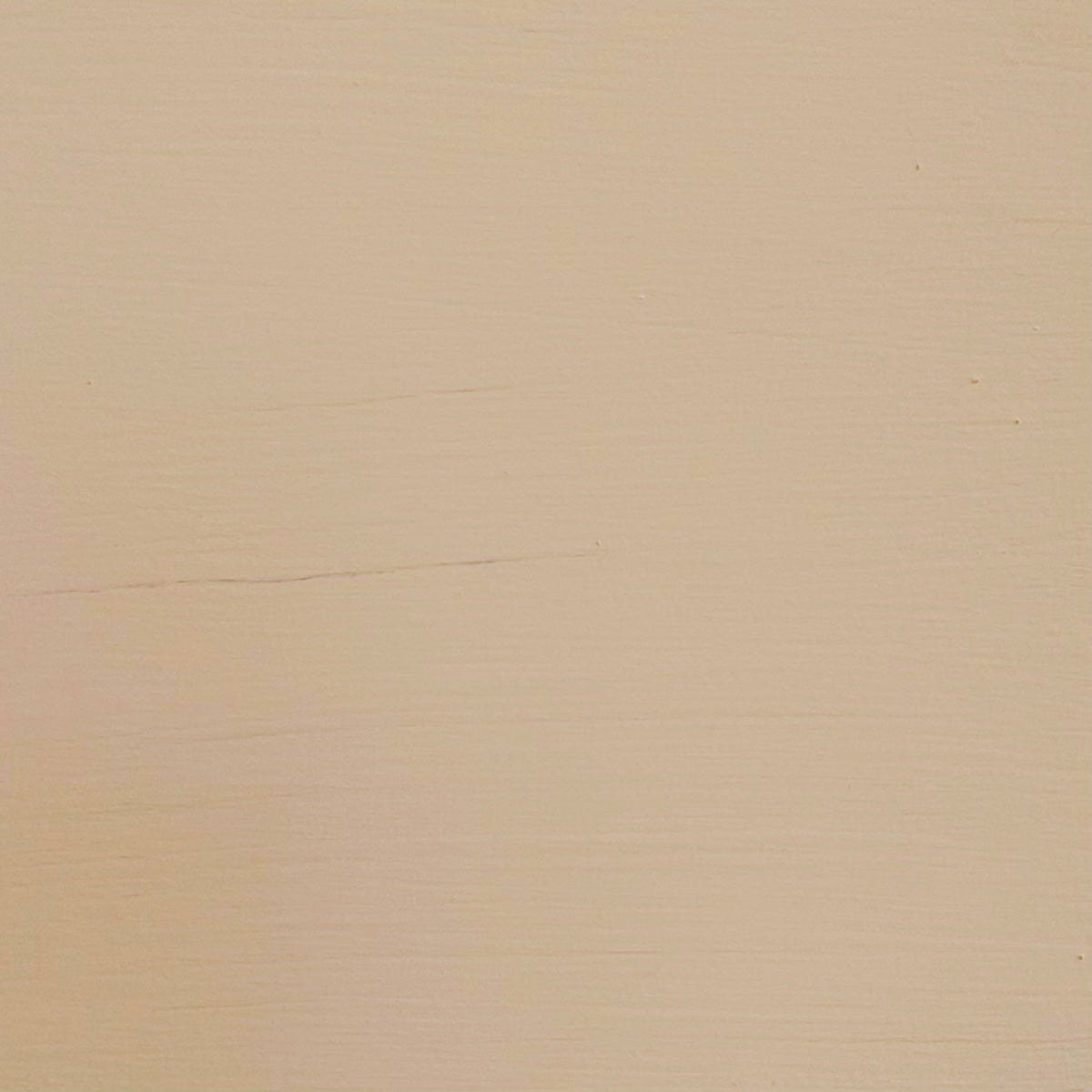 Mocha  Interior Paint- 5.6 Litres