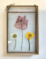 Pressed flowers in a glass frame on a light background