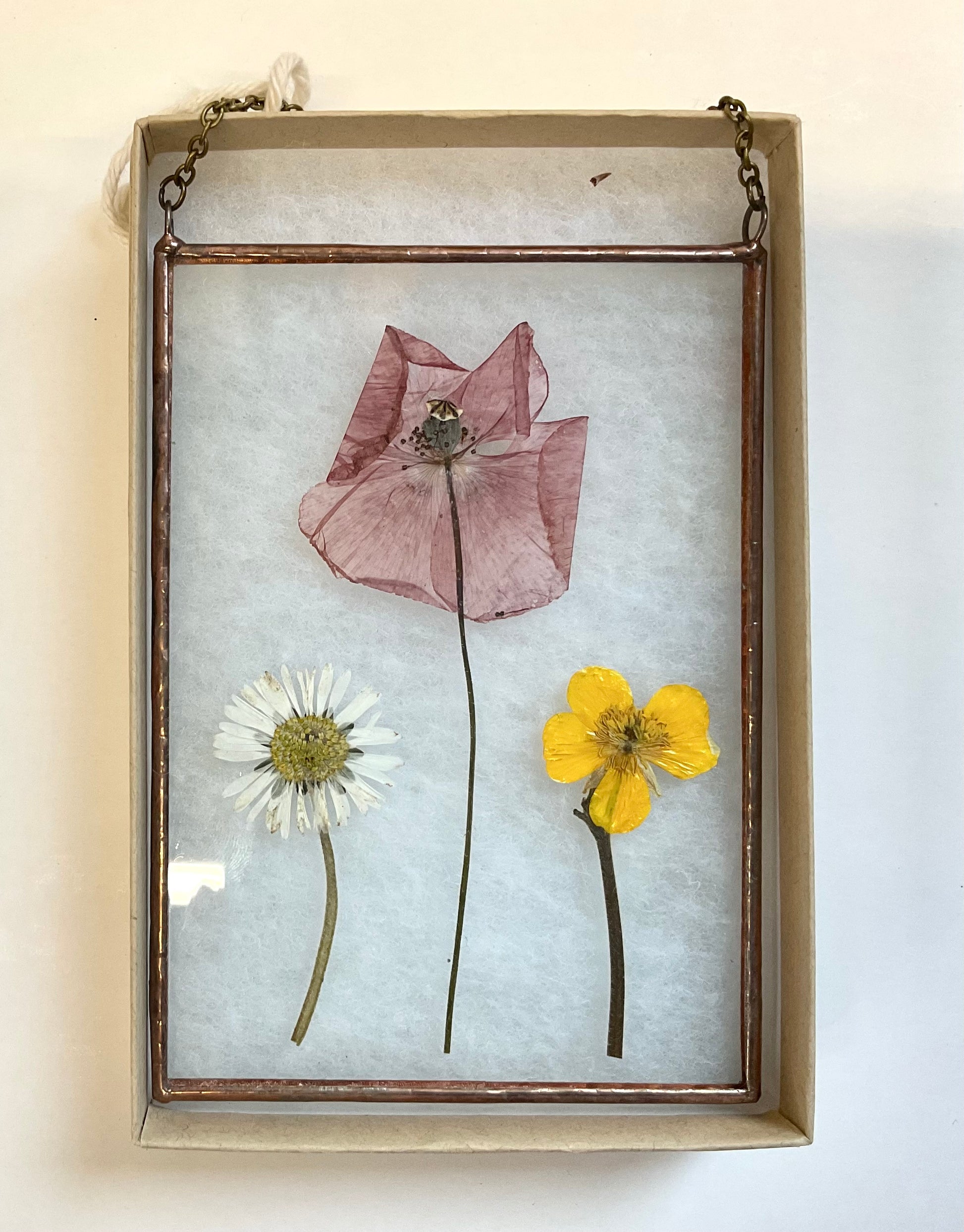 Pressed flowers in a glass frame on a light background
