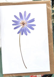 Card with a purple flower design on a white background, placed on a green surface with books and flowers.
