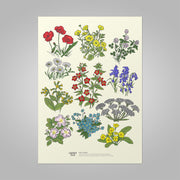 Illustration of various flowers on a beige background