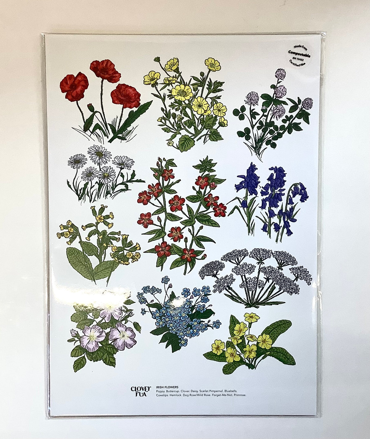 Clover Rua Irish Flowers Print A4