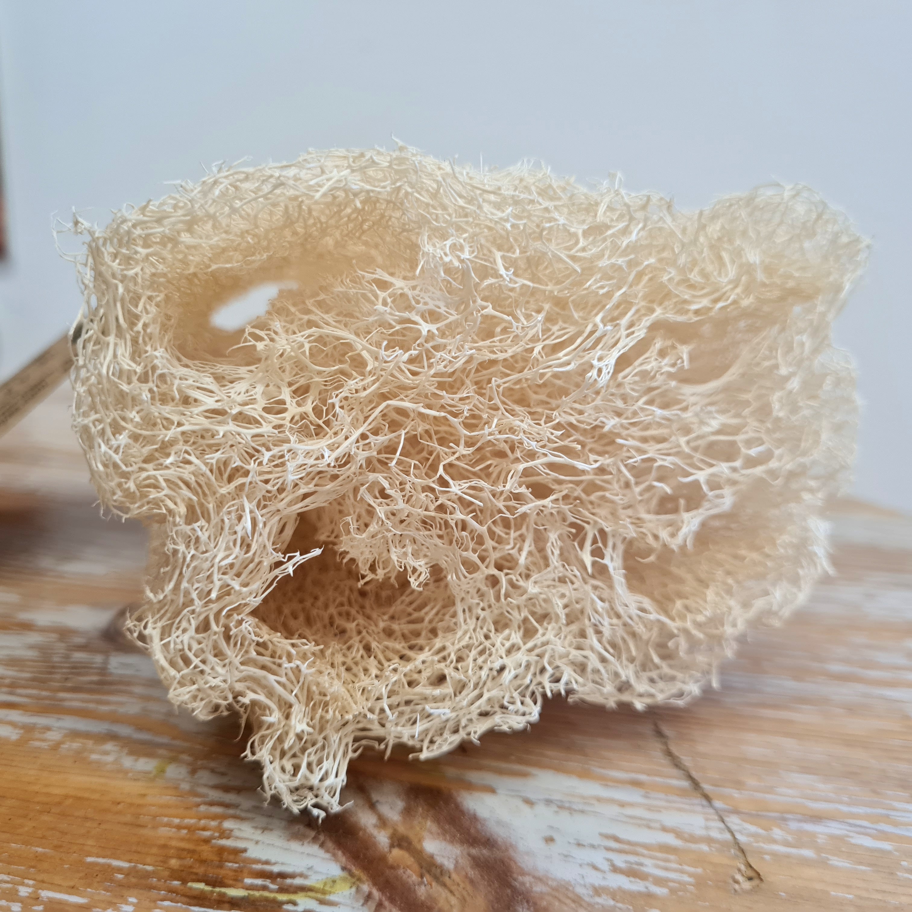 Iberluffa - Compostable Plant Sponge