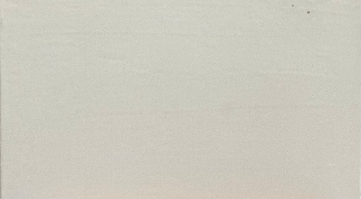 Solid light white color swatch
