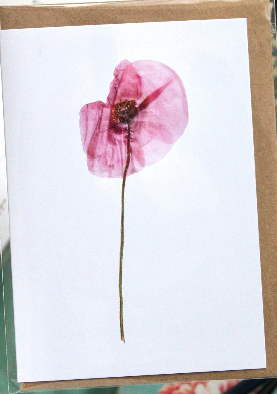 White card with a pink poppy flower design with a brown envelope