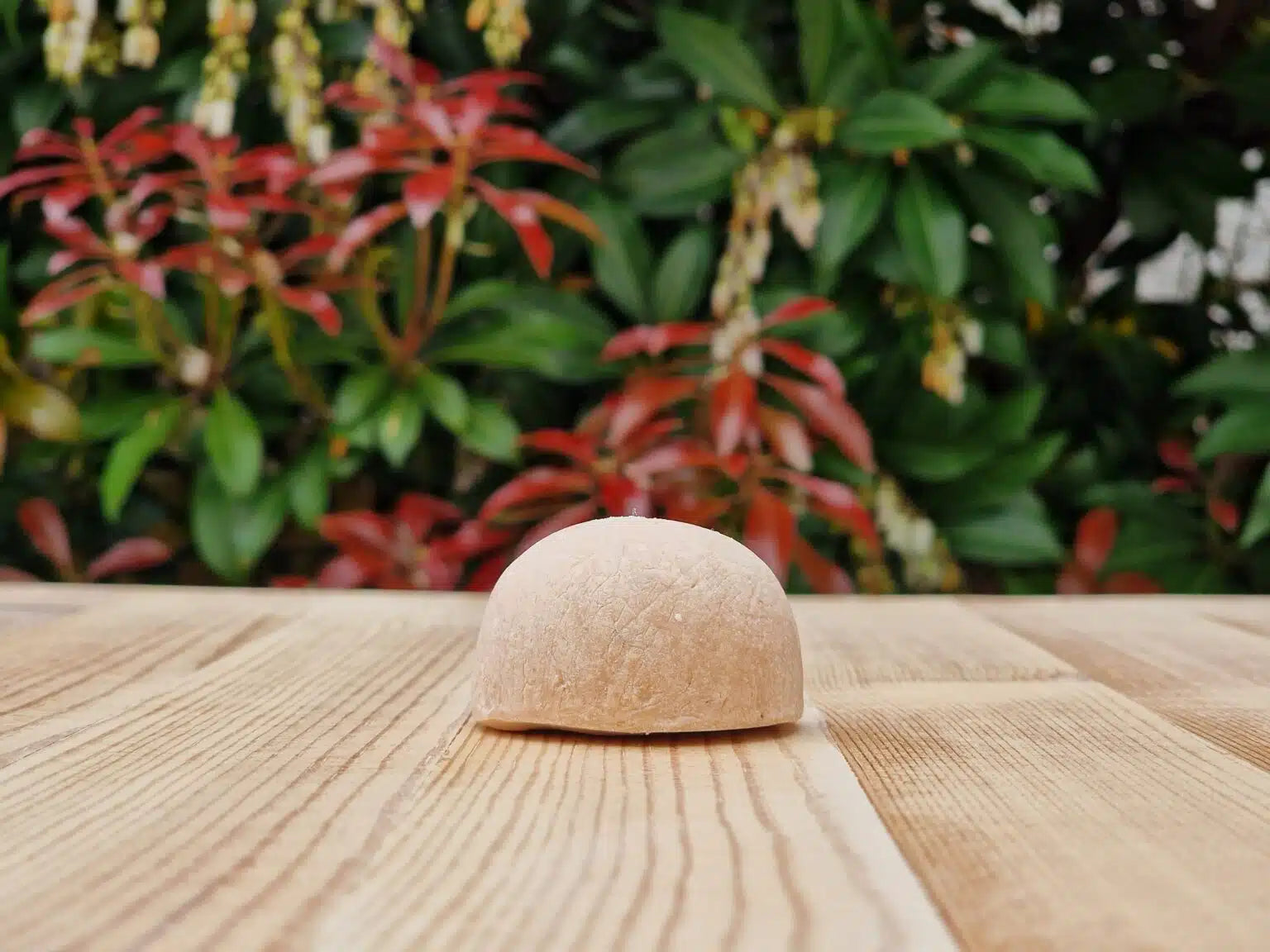 A small dome-shaped beige item, possibly a soap or decorative stone, standing on a light wood surface with a blurred background of green and red foliage.