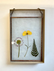 Pressed flowers and fern in a glass frame on a white background