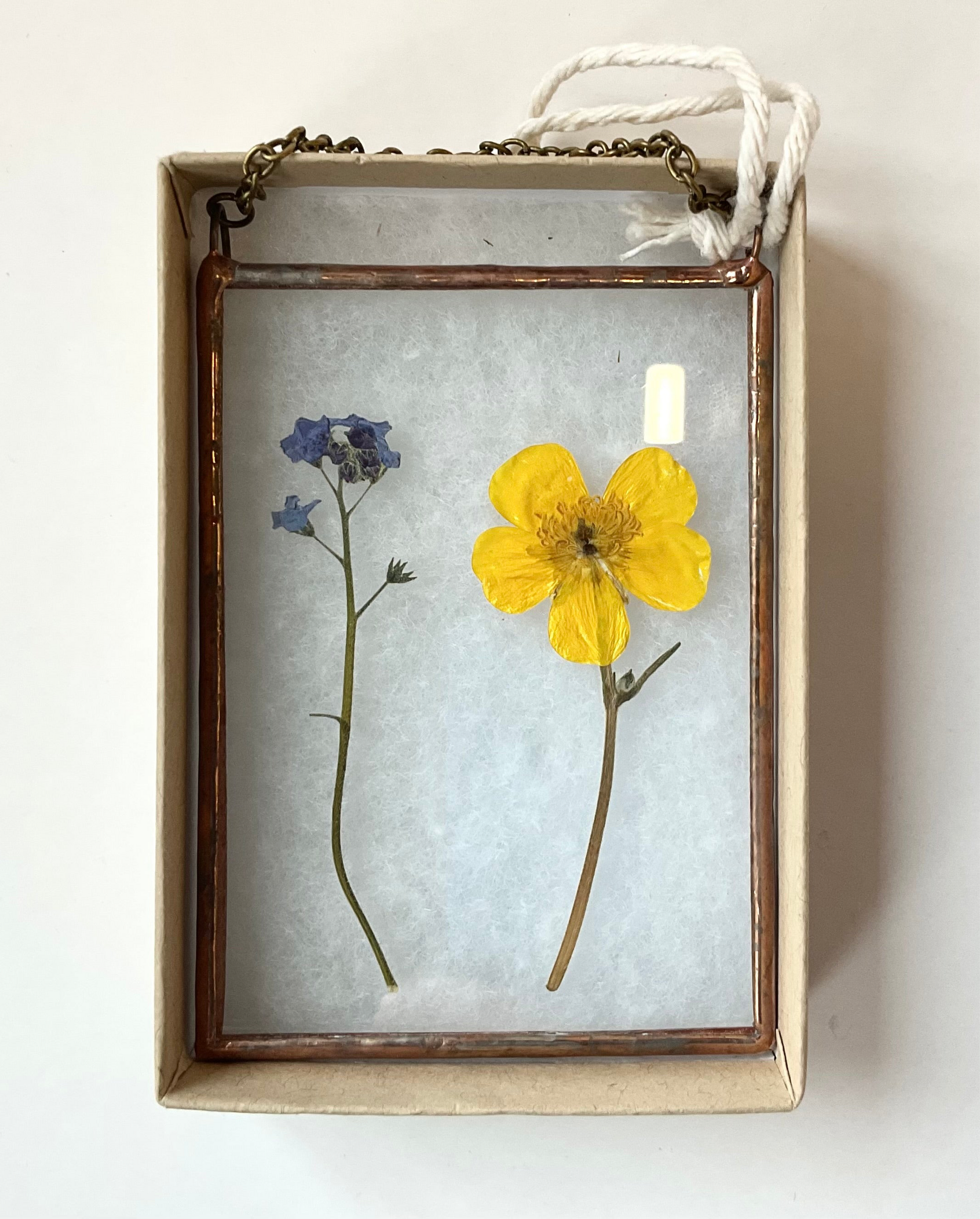 Pressed flowers in a glass frame with a wooden border on a white background