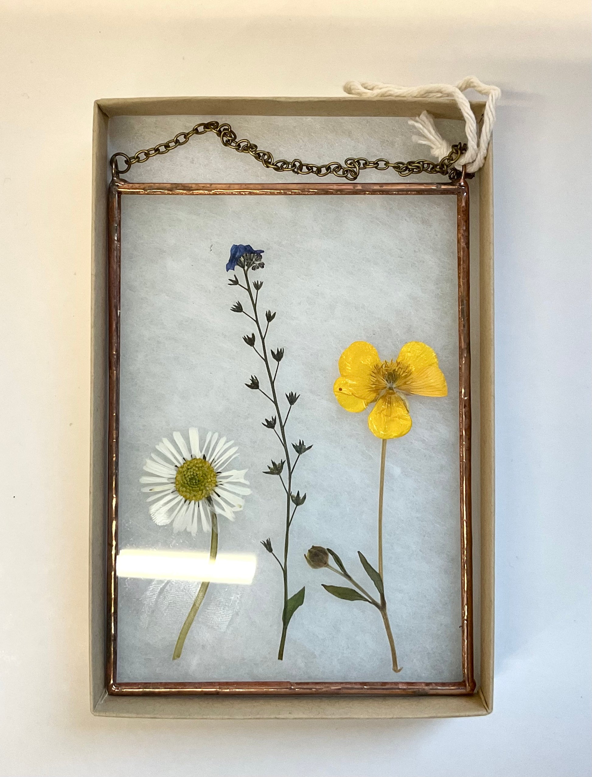  Pressed Flower Wall Hanging -  Daisy, Forget-Me-Not & Buttercup