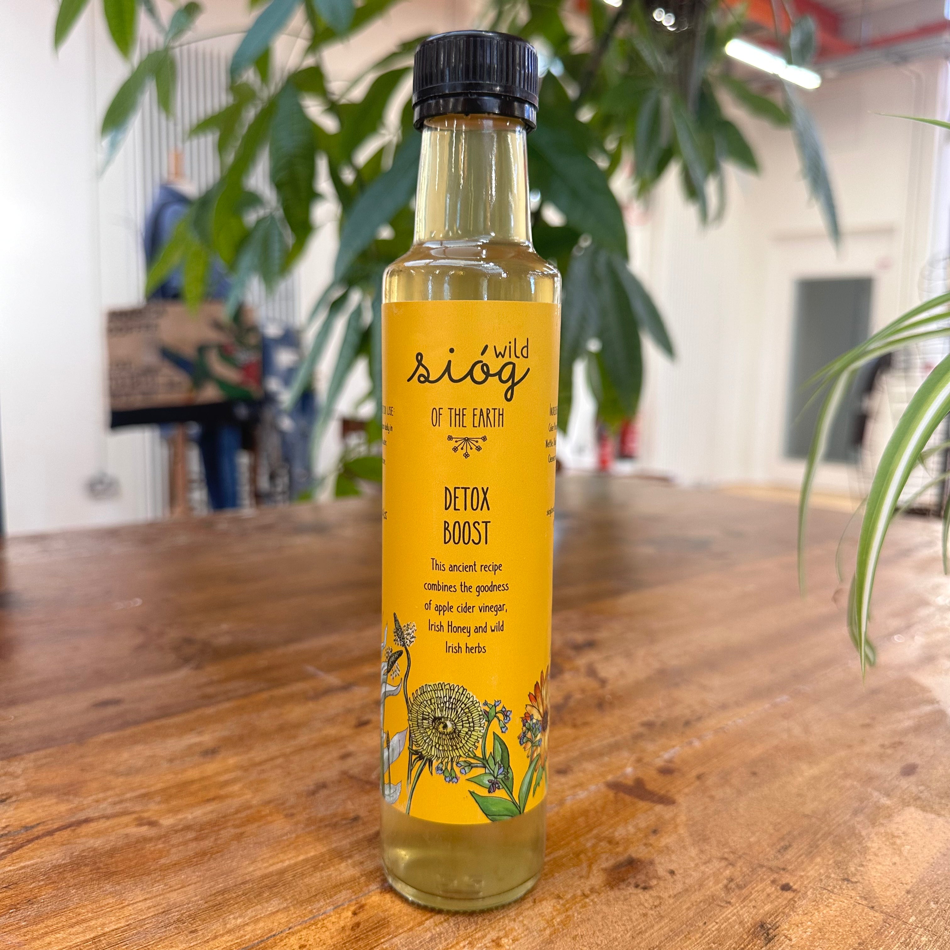 A bottle of Sióg of the Earth Detox Boost Tonic placed on a wooden table with plants in the background.