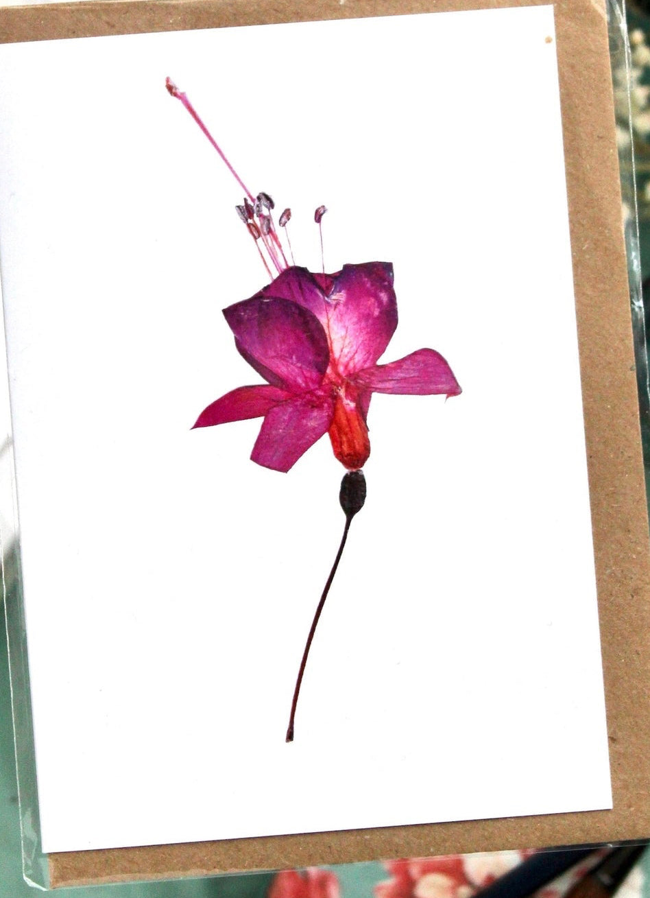 white card with a photo of a pressed fuschia