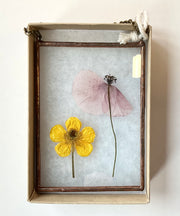 Two pressed flowers, one yellow and one pink, in a decorative frame on a white background.