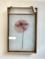 Framed pressed flower on a light background