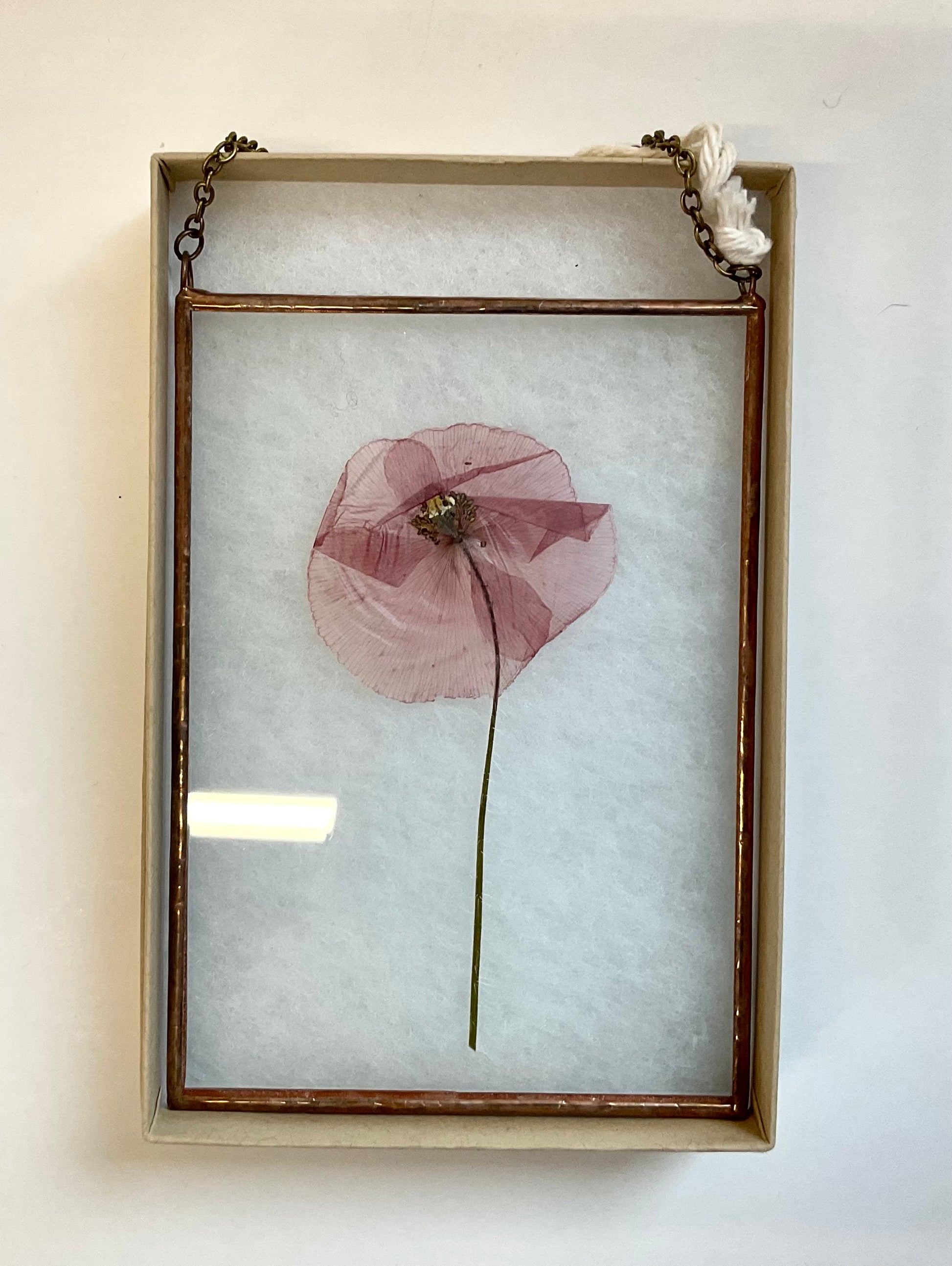 Framed pressed flower on a light background