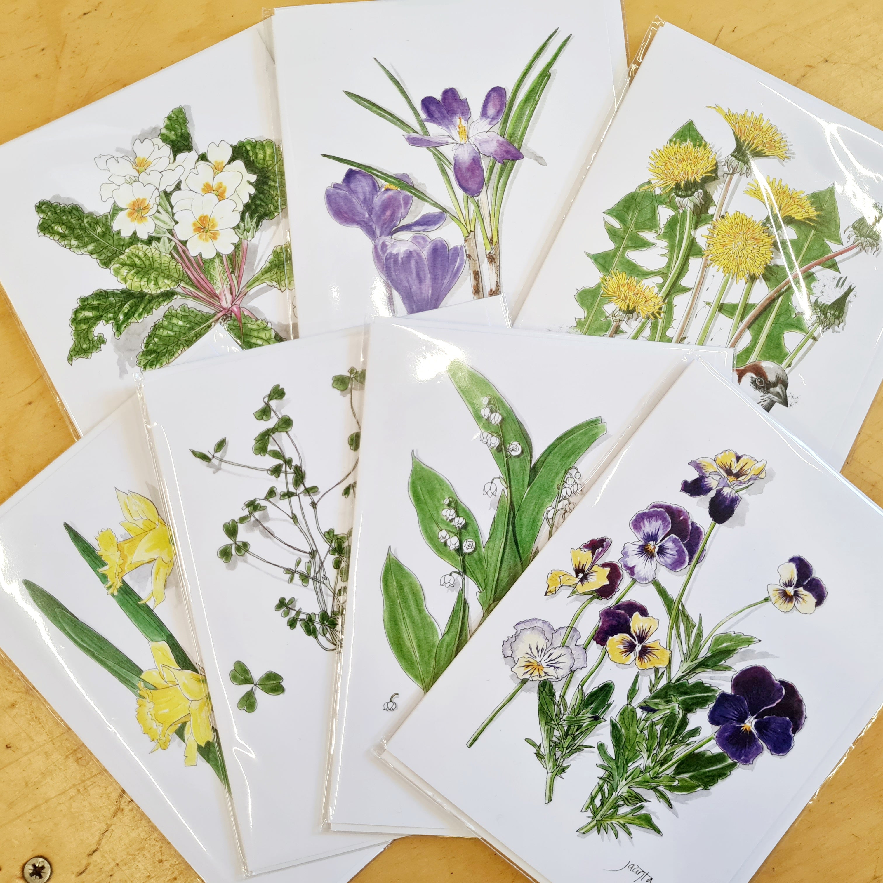 Jacinta Hughes Handdrawn Nature Cards